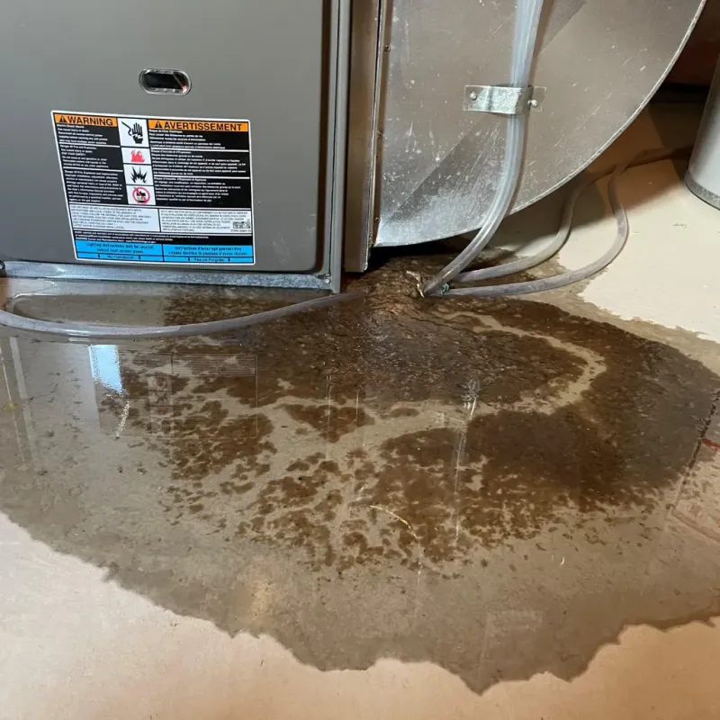 Appliance Leak Cleanup in Carrington, ND