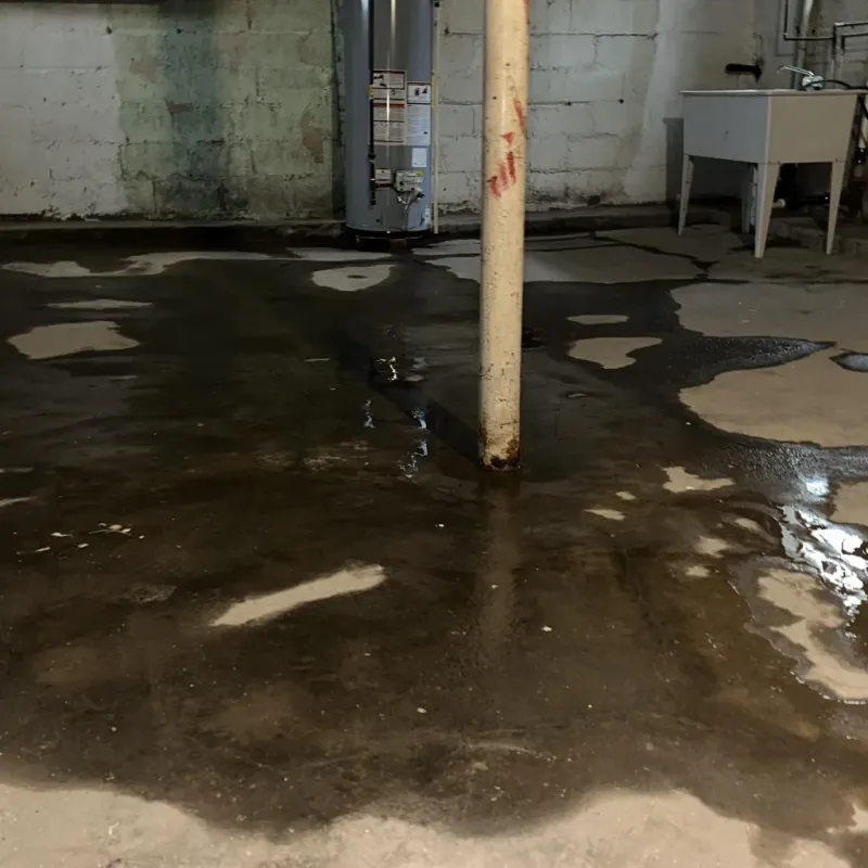 Emergency Water Extraction And Removal in Carrington, ND